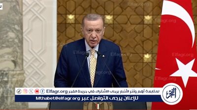 أردوغان: عازمون على زيادة حجم استثماراتنا في مصر بحدود 3 مليارات دولار