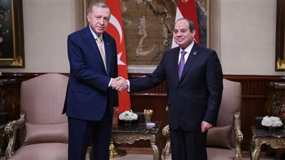هل ستؤثر زيارة أردوغان لمصر على مستقبل الإخوان المقيمين بتركيا؟.. 