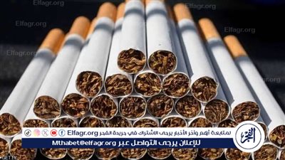 رئيس شعبة الدخان يكشف موقف زيادة أسعار السجائر الشعبية (فيديو)