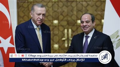 دبلوماسي سابق: زيارة أردوغان إلى مصر تفتح آفاق واعدة بين البلدين (فيديو) 
