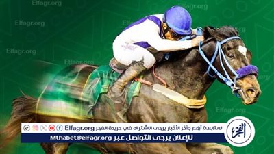 وصول الدفعة الأولى من الخيل المشاركة في 