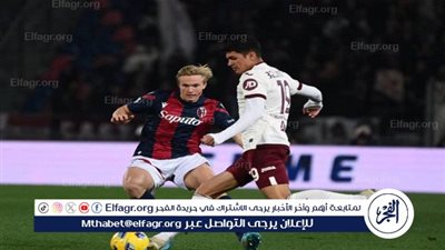 تورينو يفوز بهدفين نظيفين أمام ليتشي في الدوري الإيطالي