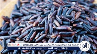الأرز الأسود: كنز من الفوائد الغذائية 