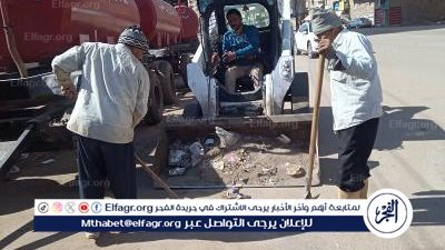 رفع 600 طن قمامه وأتربة وتقليم أشجار بحملة بشوارع ومداخل مركز ومدينة المنصورة 