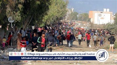 باحث: موقف مصر ثابت حول دعم الشعب الفلسطيني