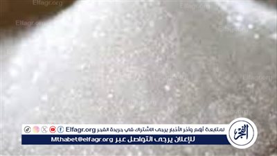 أستاذ اقتصاد: 