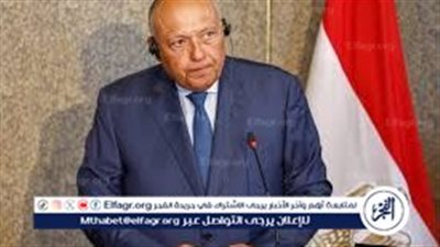 شكري: المجتمع الدولي يتحمل مسئولية الوضع الإنساني في غزة