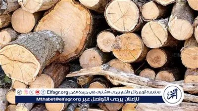 بالتفصيل.. أسعار الخشب اليوم في مصر 2024 وأفضل الأنواع 