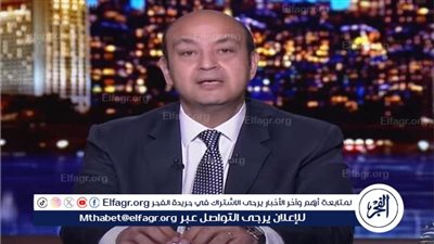 عمرو أديب: صندوق النقد 