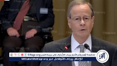 عضو الفريق القانوني لفلسطين: حل الدولتين السبيل الوحيد للسلام للشعبين (فيديو)