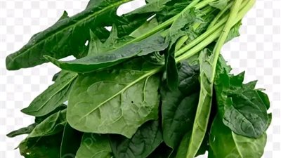 ما هي الفوائد الصحية لتناول السبانخ وهل لتناولها بكثرة أضرار على صحة الجسم؟