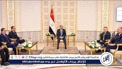 الرئاسة تكشف تفاصيل لقاء السيسي مع الرئيس التنفيذي لشركة 