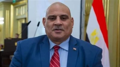 رئيس الجالية المصرية في روسيا: يجب الوقوف خلف القيادة السياسية في ظل التحديات التي تواجهها البلاد