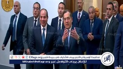 أستاذ طاقة: البترول يمثل 40 % من الاستثمارات الأجنبية في مصر