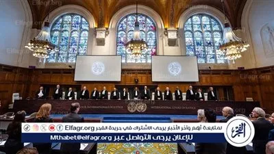 نائب رئيس برلمان جنوب إفريقيا: إسرائيل ملزمة باحترام قرارات العدل الدولية (فيديو)
