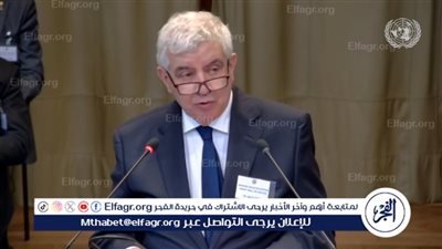 ممثل الجزائر: إسرائيل تتعمد خلق بيئة تضمن استمرار احتلال الأراضي الفلسطينية