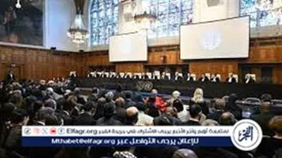 5 دبلوماسيين.. الوفد المصري ضد إسرائيل أمام محكمة العدل الدولية