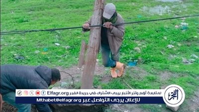 نشاط مكثف لأعمال الصيانة والإضاءة ورفع كفاءة الأعمدة بحي شرق الإسكندرية 