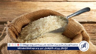 سعر الأرز الشعير اليوم الثلاثاء 20-2-2024 في كافة المحافظات