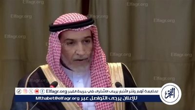 ممثل السعودية أمام العدل الدولية: إسرائيل تحرم غزة من مقومات الحياة