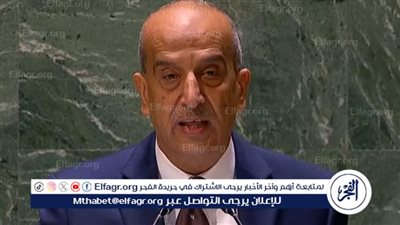 مندوبنا لدى مجلس الأمن: نداء مصر واضح وهو ضرورة وقف إطلاق النار في غزة