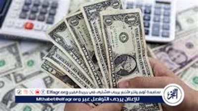 تحليل أسعار صرف الدولار في مصر: التقلبات بين البنوك والسوق السوداء خلال الأيام الأخيرة