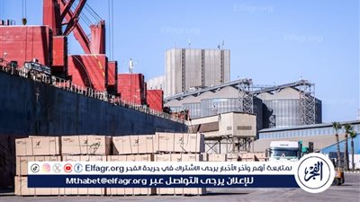 ميناء دمياط يستقبل 36 سفينه متنوعه خلال 24 ساعه