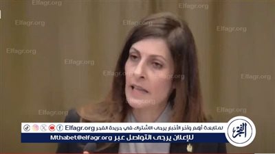 دبلوماسي سابق: القضية الفلسطينية جزء لا يتجزأ من الأمن القومي المصري (فيديو)