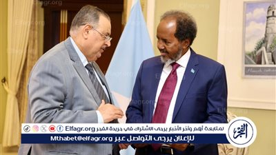 رسالة عاجلة من الجامعة العربية إلى الرئيس الصومالي.. تفاصيل