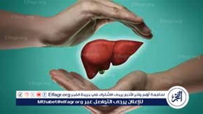 صحة الكبد: توجيهات للمحافظة على وظائف هذا العضو الحيوي