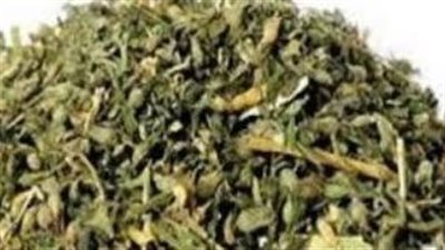 ضبط عاطل 1،250 كيلو استروكس داخل مسكنه بدار السلام