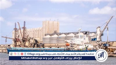 ميناء دمياط يستقبل 39 سفينه متنوعه خلال 24 ساعه