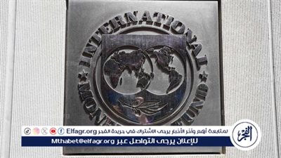صندوق النقد الدولي يحذر من مخاطر مصادرة الأصول الروسية