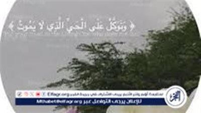 دعاء آخر ساعة من يوم الجمعة قصير.. اسألك علمًا نافعًا متقبلا