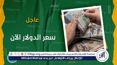 عاجل - الحكومة تحسم الأمر.. قرارات صارمة لتدمير السوق السوداء (اعرف سعر الدولار الرسمي الآن)