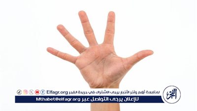 فهم الشخصية من خلال الأصابع: هل هناك أسرار بيولوجية؟