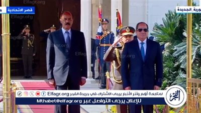 صلاح حليمة يوضح أهمية زيارة الرئيس الإريتري لمصر (فيديو)