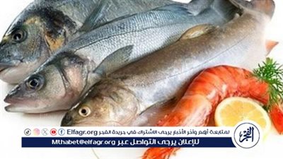 أسعار الأسماك.. ارتفاع وانخفاض في تكلفة الأسماك والجمبري يوم السبت 24 فبراير 2024