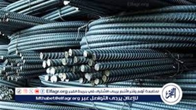 تعرف على أسعار الحديد اليوم الأحد 25-2-2024 في المنيا