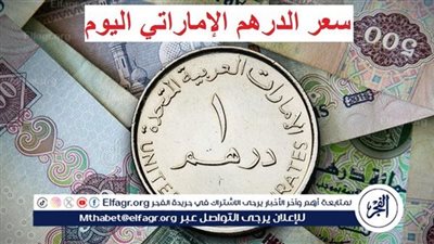 أسعار الدرهم الإماراتي أمام الجنيه اليوم الأحد في البنوك وشركات الصرافة في المنيا