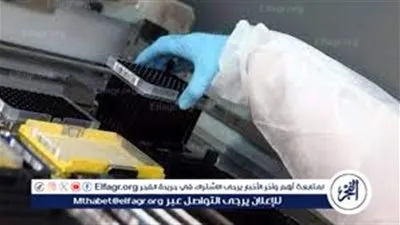 النفي الرسمي لتسرب فيروس تنفسي جديد إلى مصر ودعوة لتحري الدقة في نشر الأخبار