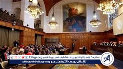 أستاذ قانون دولي يعلق على إعلان مصر دعم دعوى جنوب إفريقيا ضد إسرائيل (فيديو)