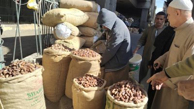 أسعار البلح والتمور في معارض أهلا رمضان بمحافظة قنا