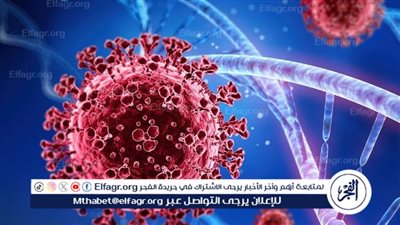 اعرف الحقيقة.. الحكومة تكشف حقيقة وجود فيروس جديد بمصر