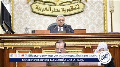 زادت أربعة أضعاف.. البرلمان يصدق على ارتفاع رسوم استخراج جواز السفر المصري