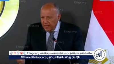 خبير سياسات دولية: مصر كشفت ازدواجية الغرب وتجاهله لحقوق الفلسطينيين (فيديو)