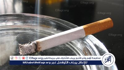 ارتفاع أسعار السجائر وأثرها على السوق في مصر