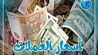 أسعار العملات اليوم الثلاثاء 27 فبراير 2024 في مصر