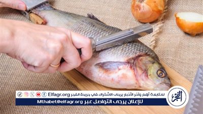 أسعار السمك والمأكولات البحرية اليوم بأسواق العبور ومعارض 