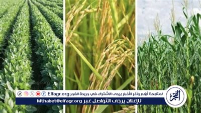 الزراعة: المنتجات الزراعية المصرية تصدر إلى 163 سوقًا